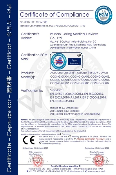 Prostate Therapy Device CE