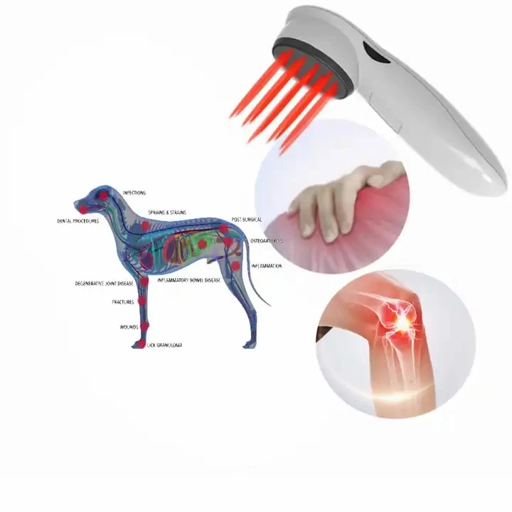 cat laser therapy1