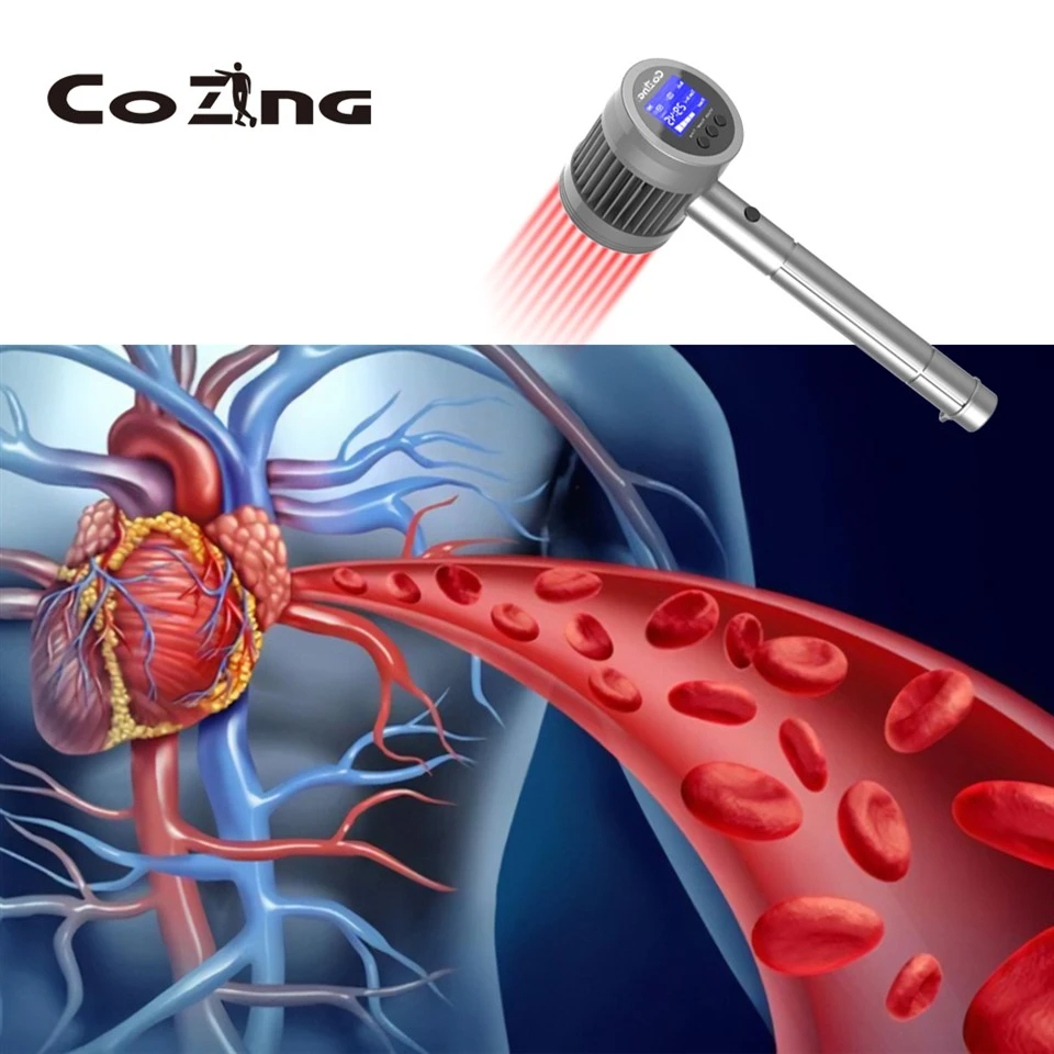 Laser For Veterinary Use