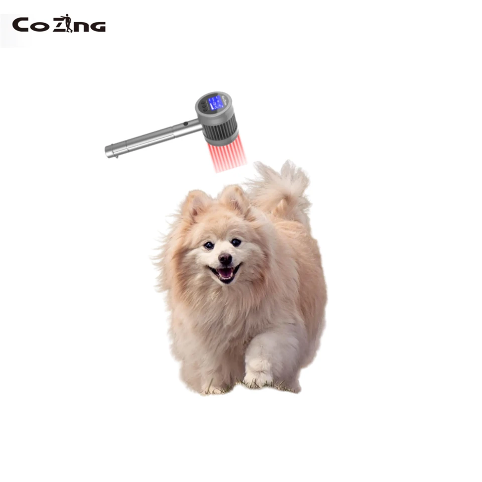 Best At Home Laser Therapy For Dogs