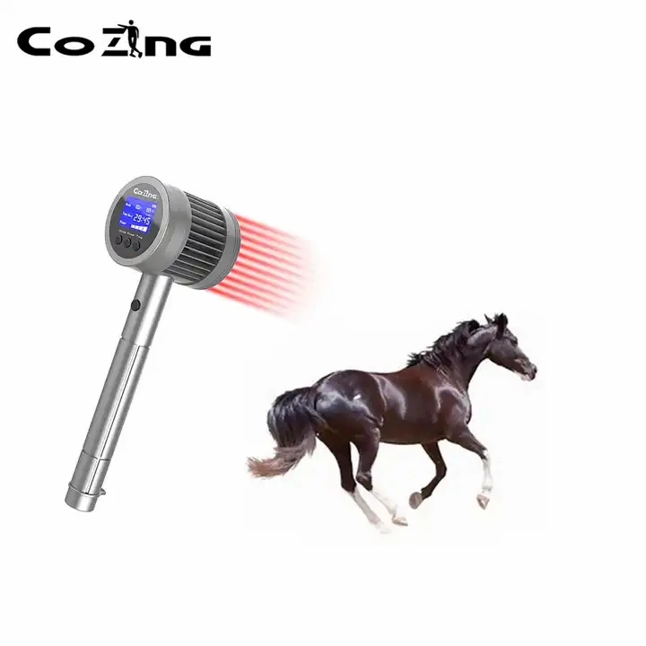 equine laser therapy1 equine laser therapy1