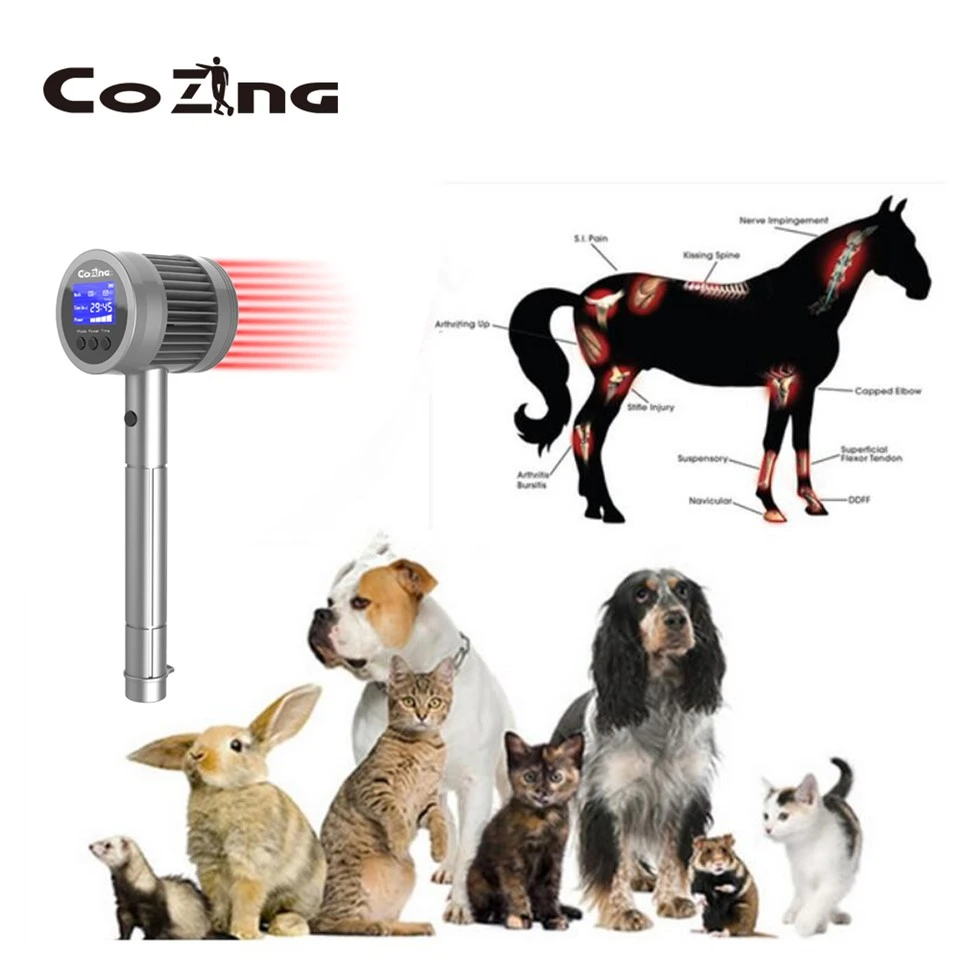 Lllt Home Device