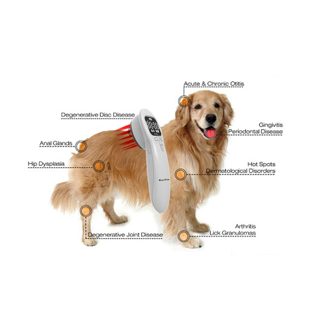dog cold laser dog cold laser